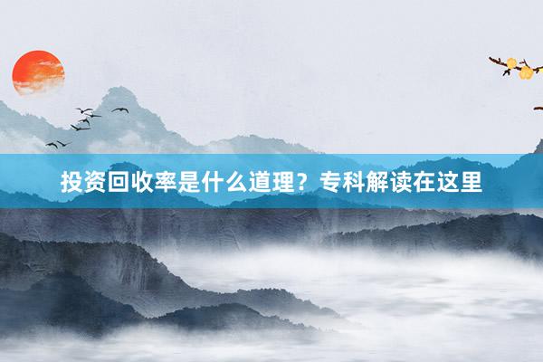 投资回收率是什么道理？专科解读在这里