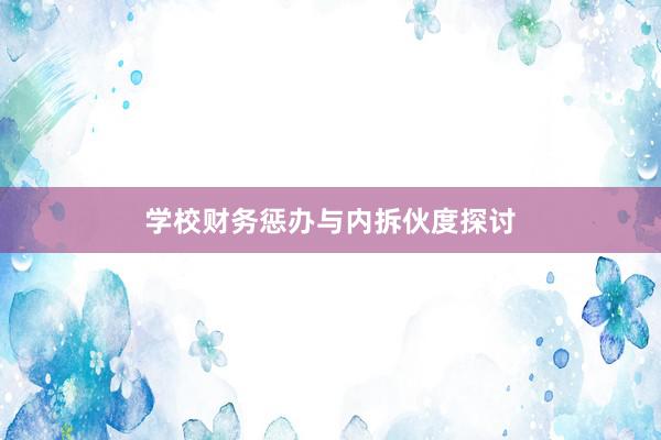 学校财务惩办与内拆伙度探讨